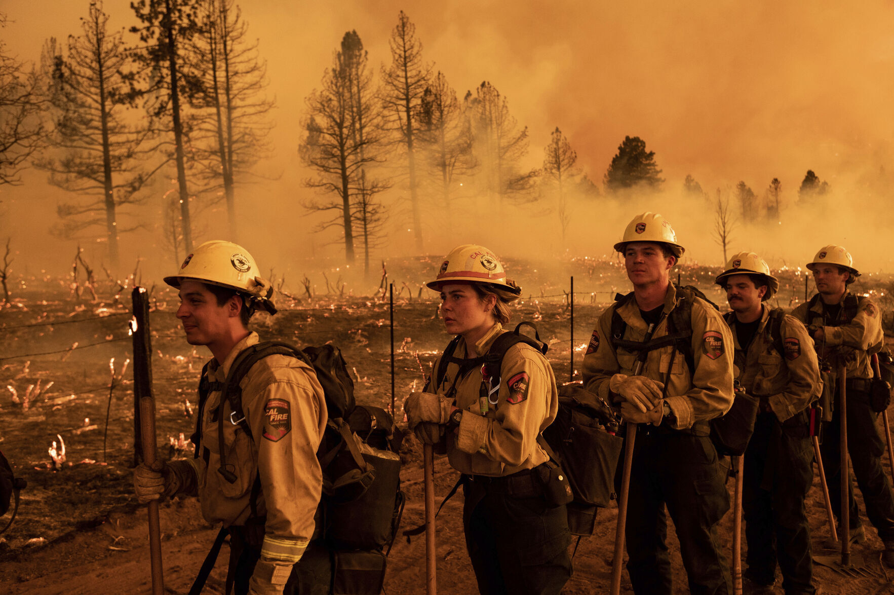 California Wildfires